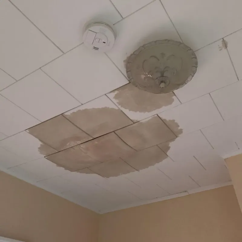 Ceiling Water Damage Repair in Hummels Wharf, PA
