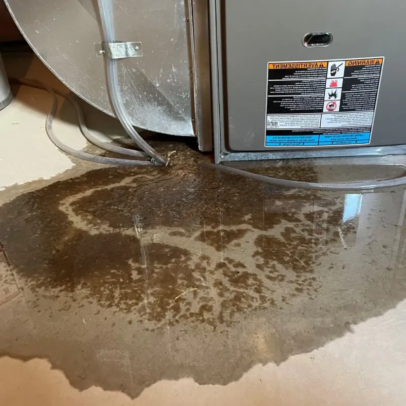 Pipe Burst and Leak Restoration in Hummels Wharf, PA